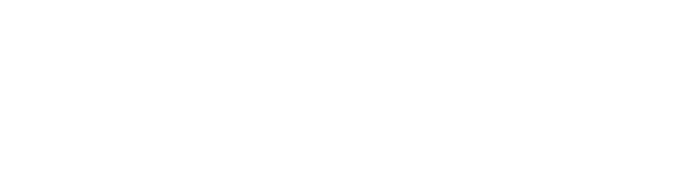 Native Cleaning Service